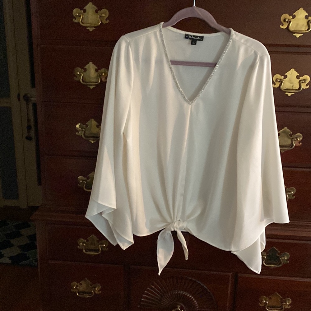 Elegant v- neck blouse size large.  $49.00